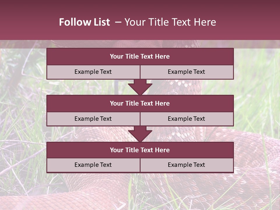 Rattlesnake Tongue Diamond PowerPoint Template