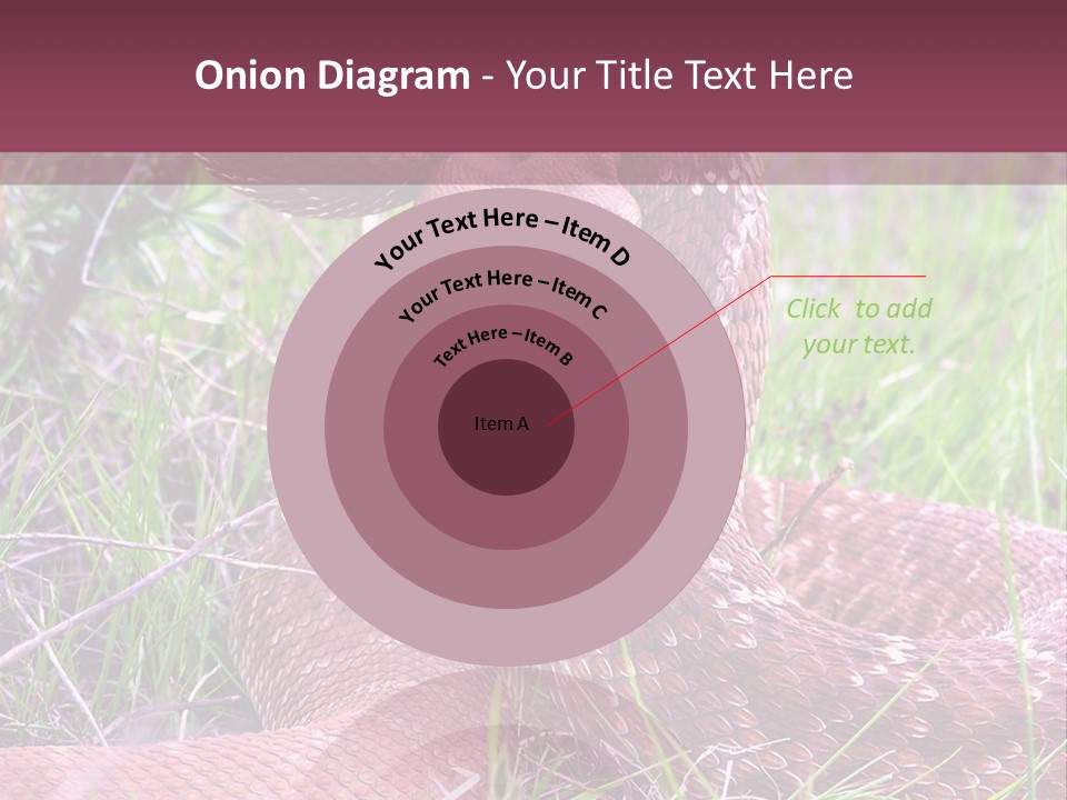 Rattlesnake Tongue Diamond PowerPoint Template