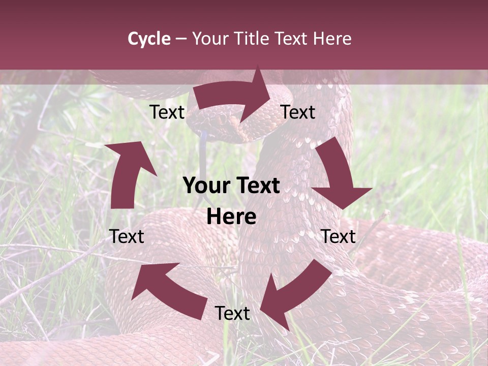 Rattlesnake Tongue Diamond PowerPoint Template