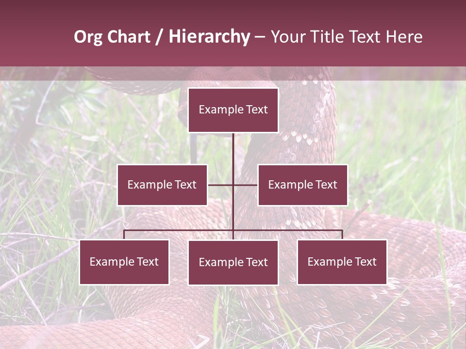 Rattlesnake Tongue Diamond PowerPoint Template