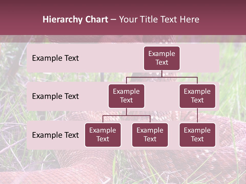 Rattlesnake Tongue Diamond PowerPoint Template