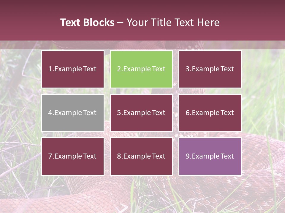 Rattlesnake Tongue Diamond PowerPoint Template