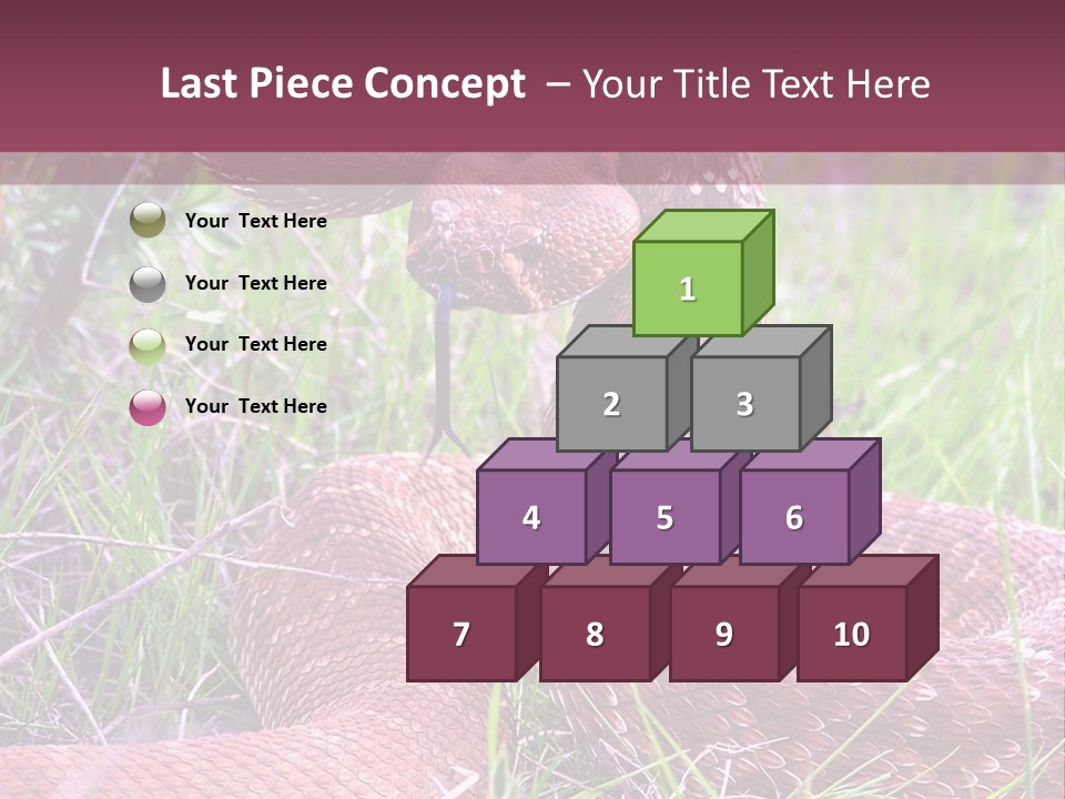 Rattlesnake Tongue Diamond PowerPoint Template