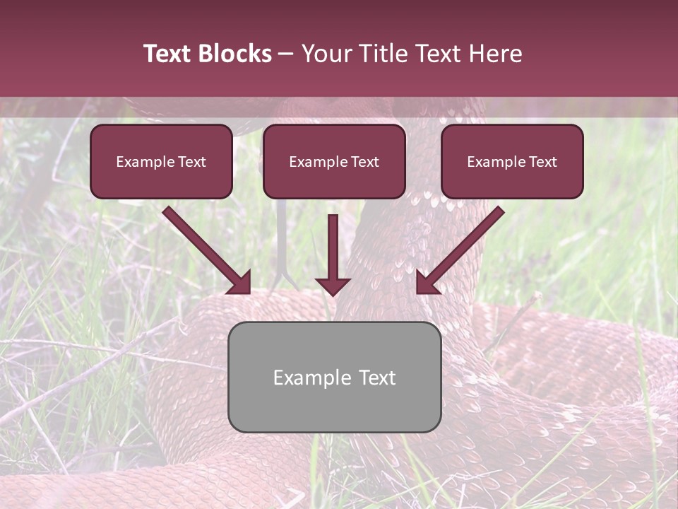 Rattlesnake Tongue Diamond PowerPoint Template