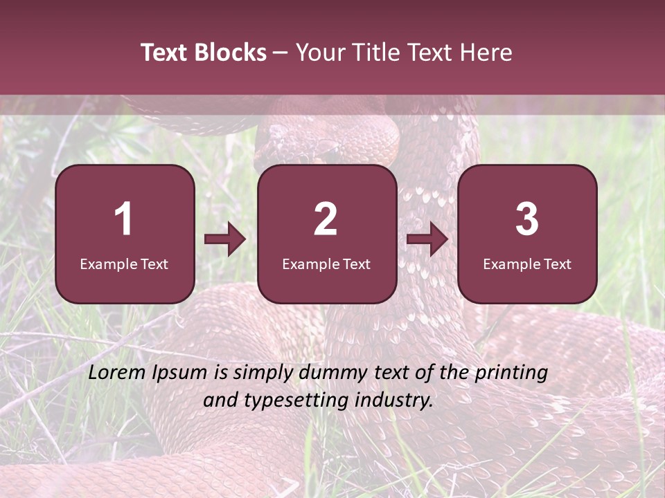 Rattlesnake Tongue Diamond PowerPoint Template