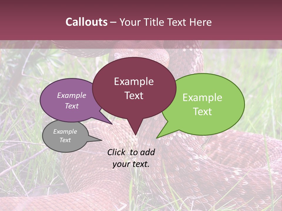 Rattlesnake Tongue Diamond PowerPoint Template
