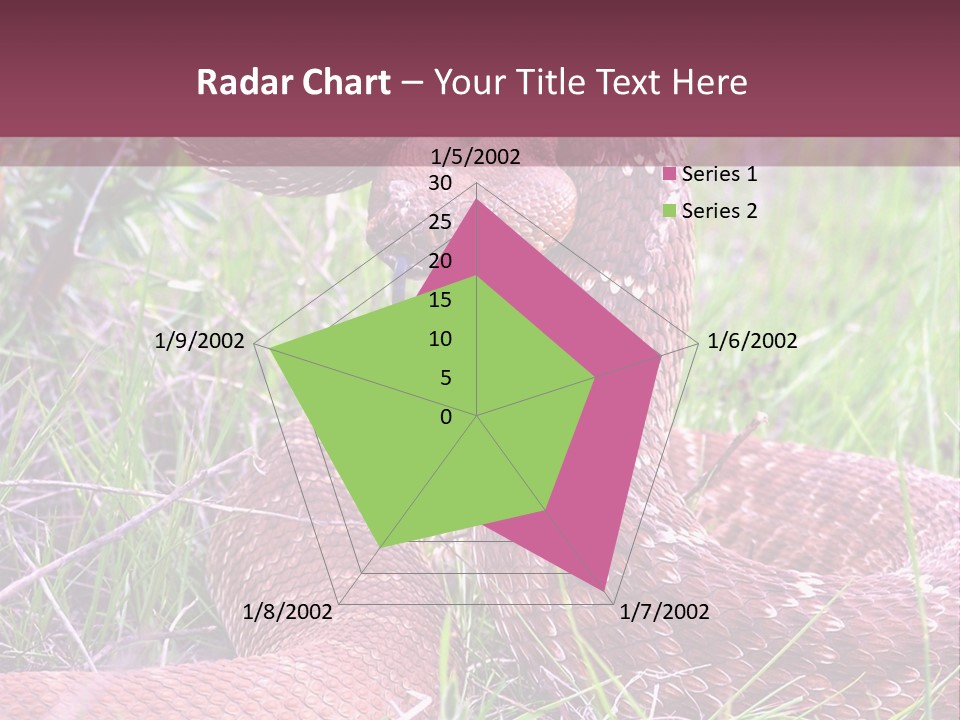 Rattlesnake Tongue Diamond PowerPoint Template