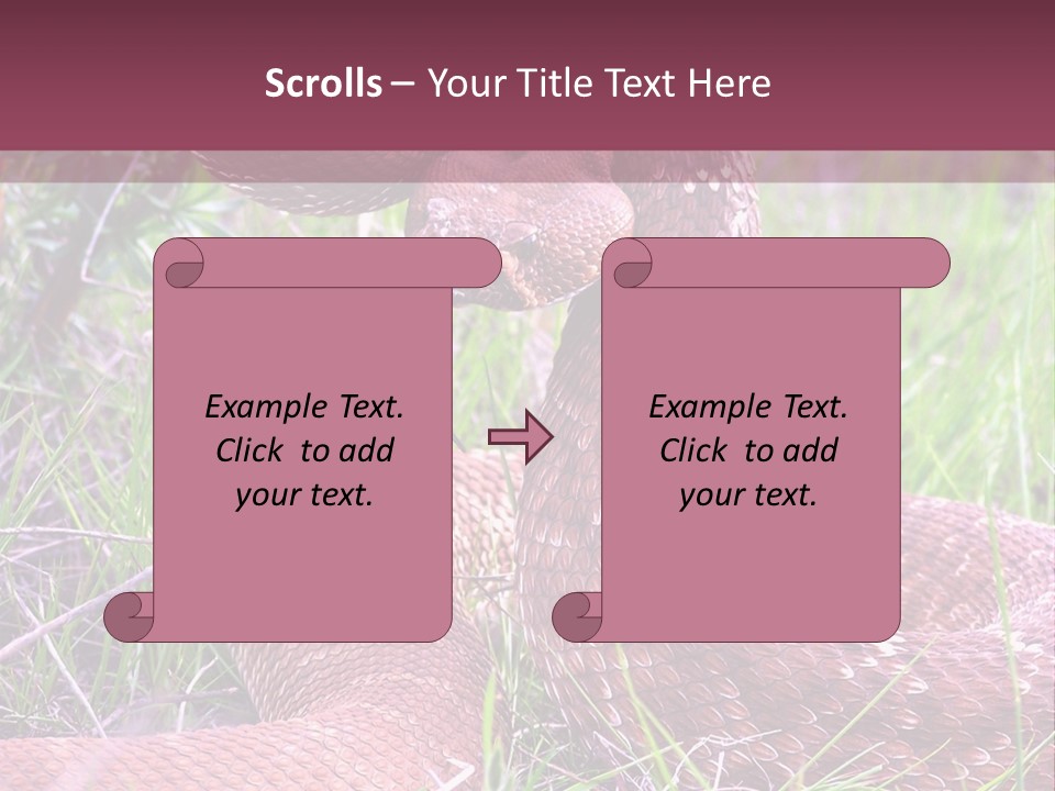 Rattlesnake Tongue Diamond PowerPoint Template