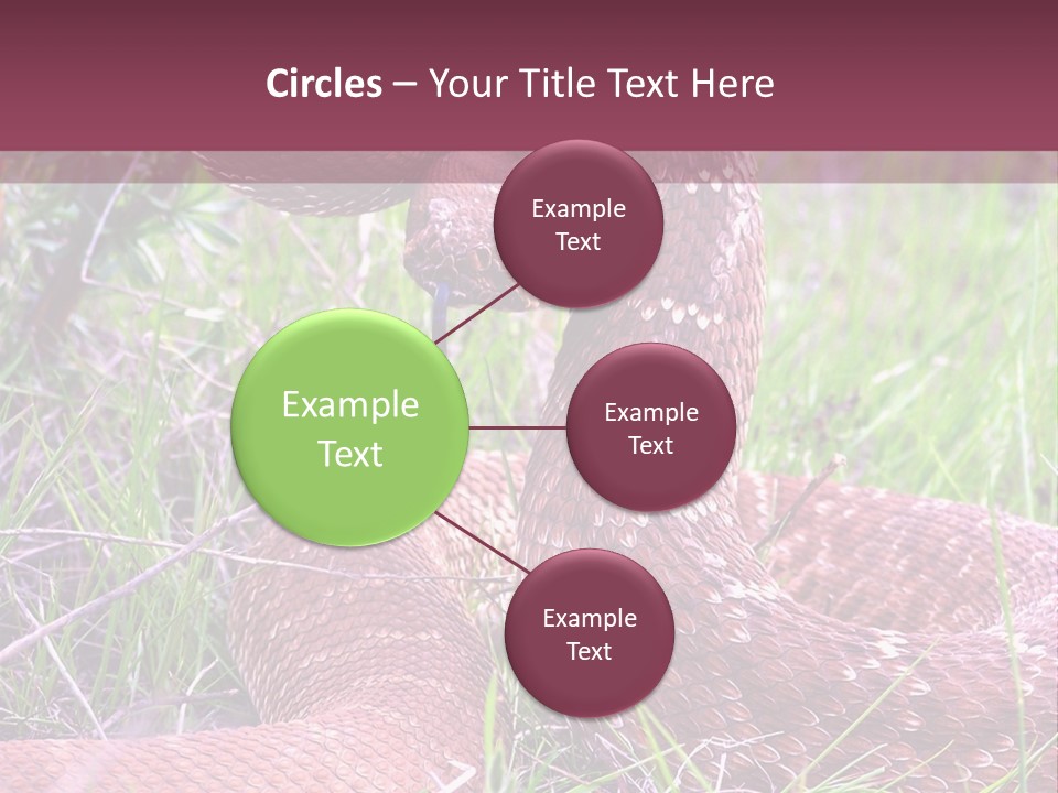 Rattlesnake Tongue Diamond PowerPoint Template