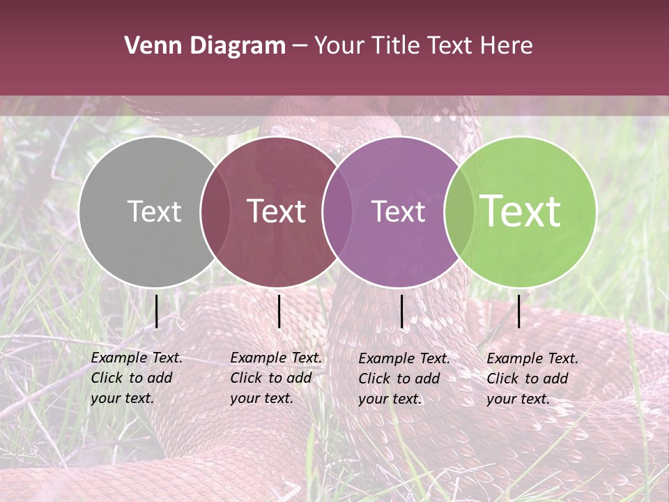 Rattlesnake Tongue Diamond PowerPoint Template