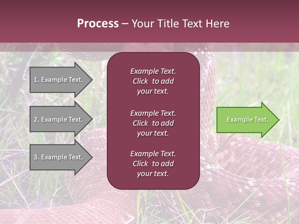 Rattlesnake Tongue Diamond PowerPoint Template
