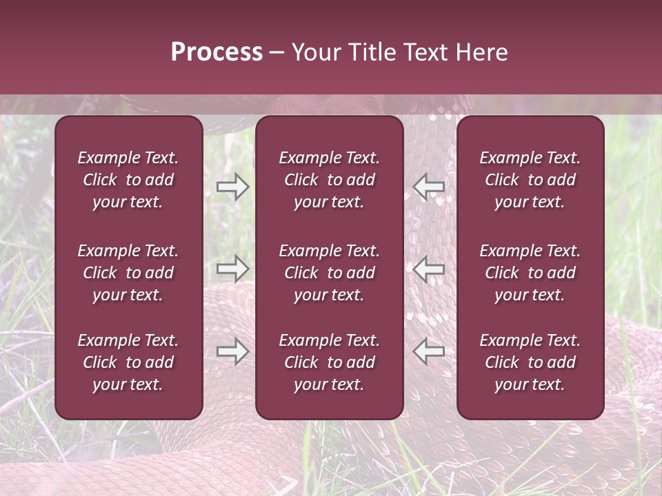Rattlesnake Tongue Diamond PowerPoint Template