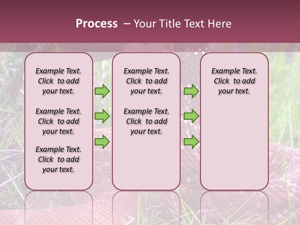 Rattlesnake Tongue Diamond PowerPoint Template