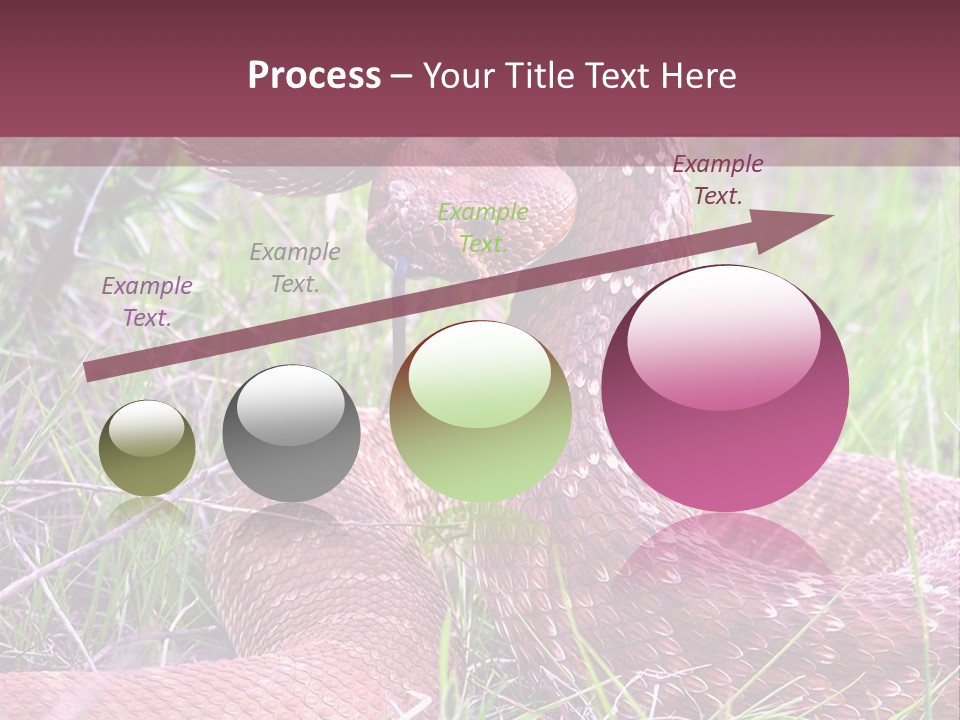 Rattlesnake Tongue Diamond PowerPoint Template