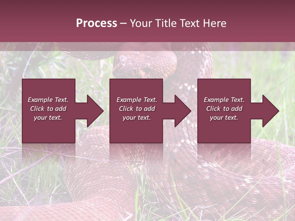 Rattlesnake Tongue Diamond PowerPoint Template