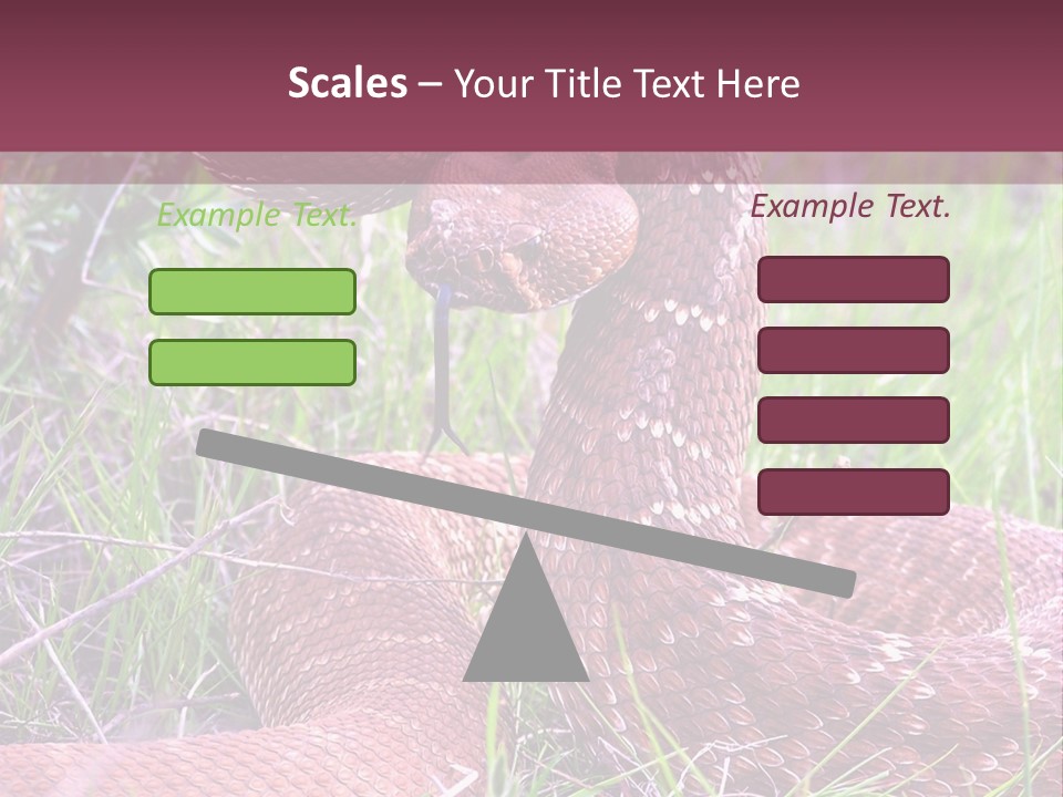 Rattlesnake Tongue Diamond PowerPoint Template