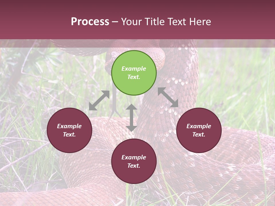 Rattlesnake Tongue Diamond PowerPoint Template