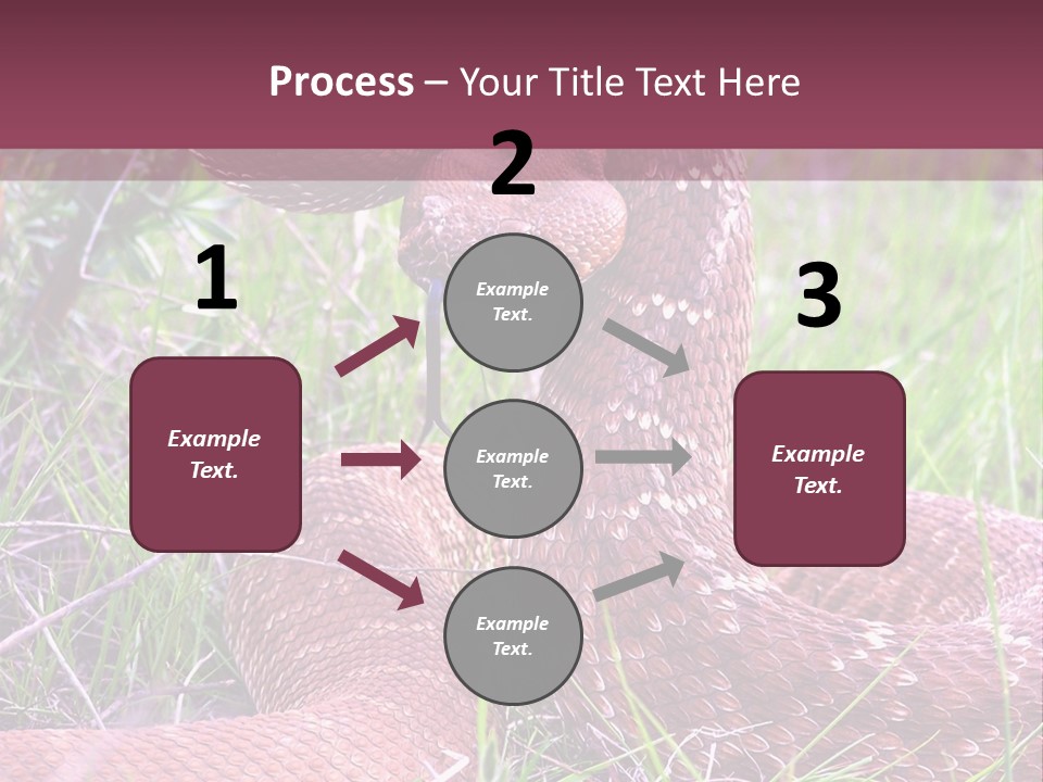 Rattlesnake Tongue Diamond PowerPoint Template