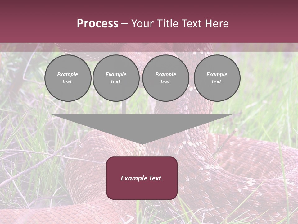 Rattlesnake Tongue Diamond PowerPoint Template