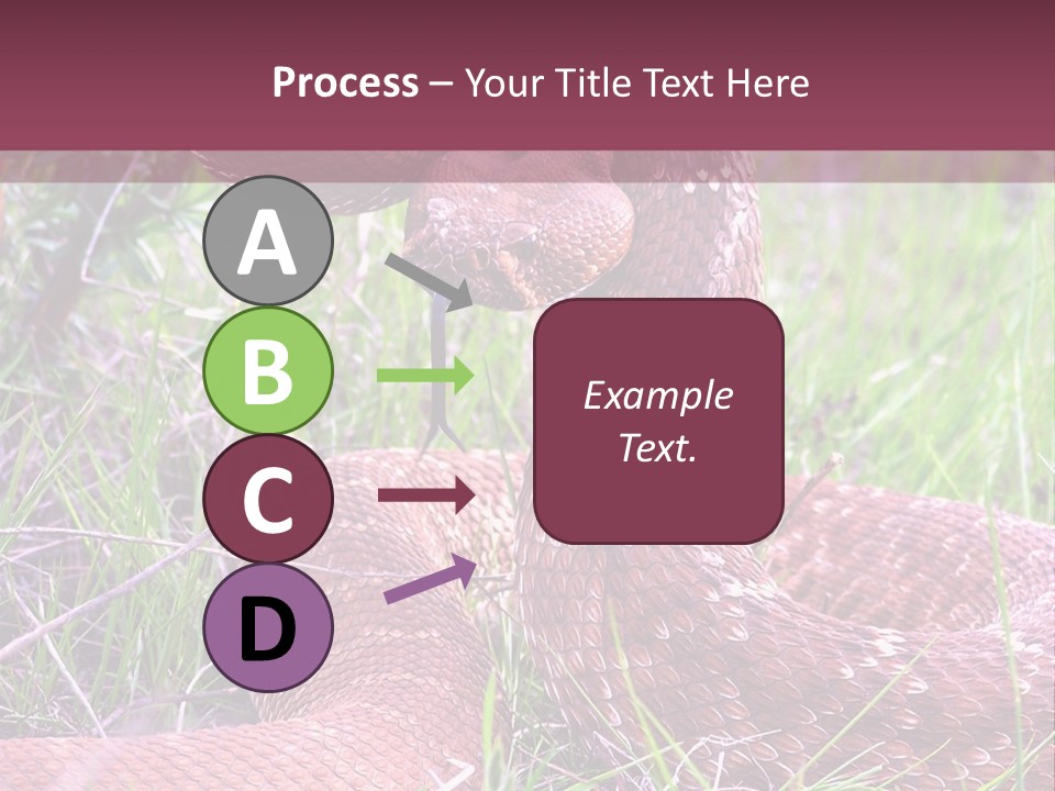 Rattlesnake Tongue Diamond PowerPoint Template