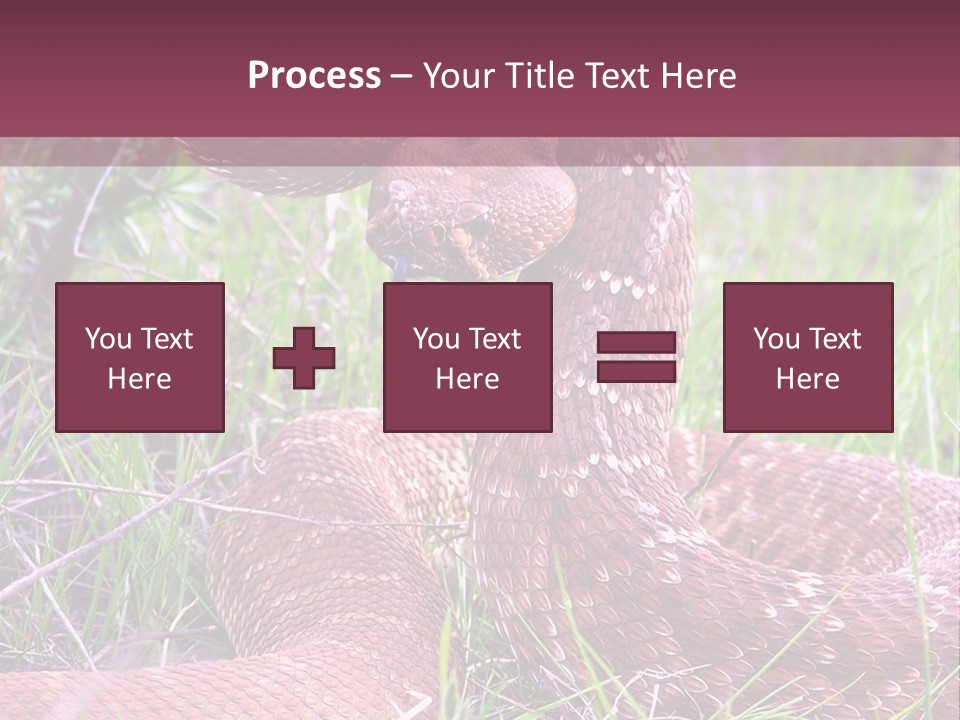 Rattlesnake Tongue Diamond PowerPoint Template