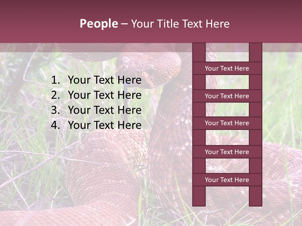 Rattlesnake Tongue Diamond PowerPoint Template