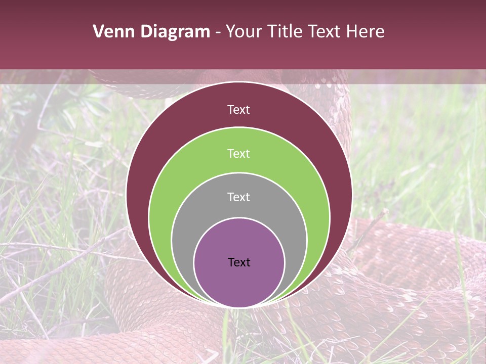 Rattlesnake Tongue Diamond PowerPoint Template
