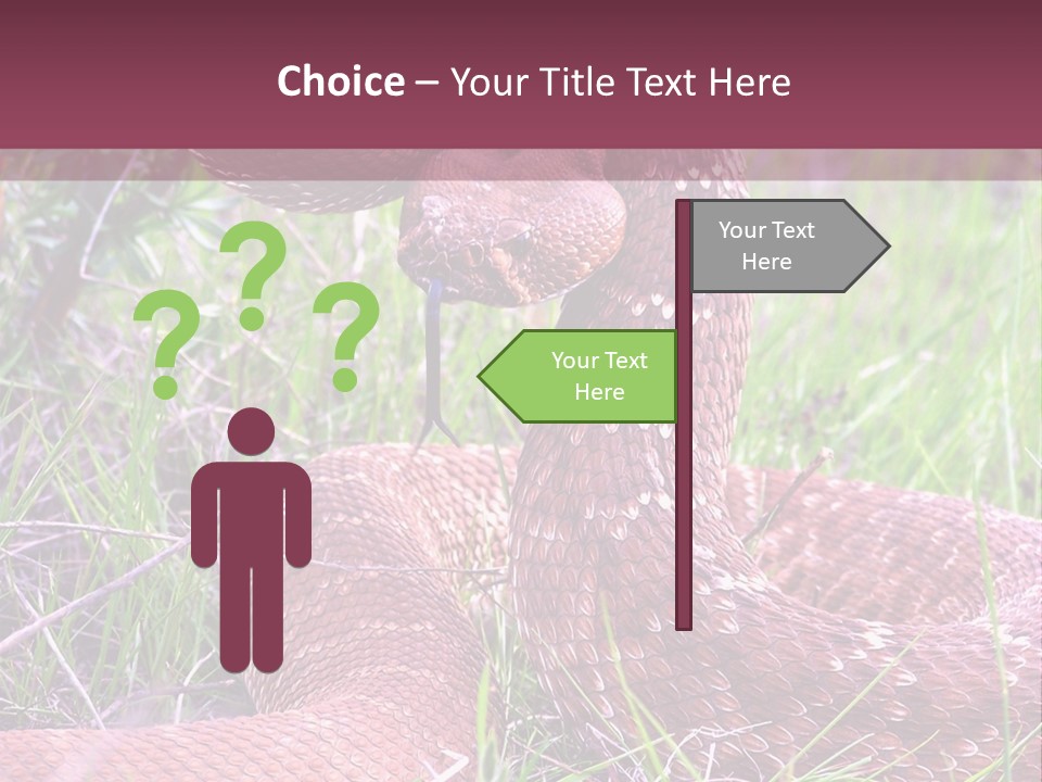 Rattlesnake Tongue Diamond PowerPoint Template