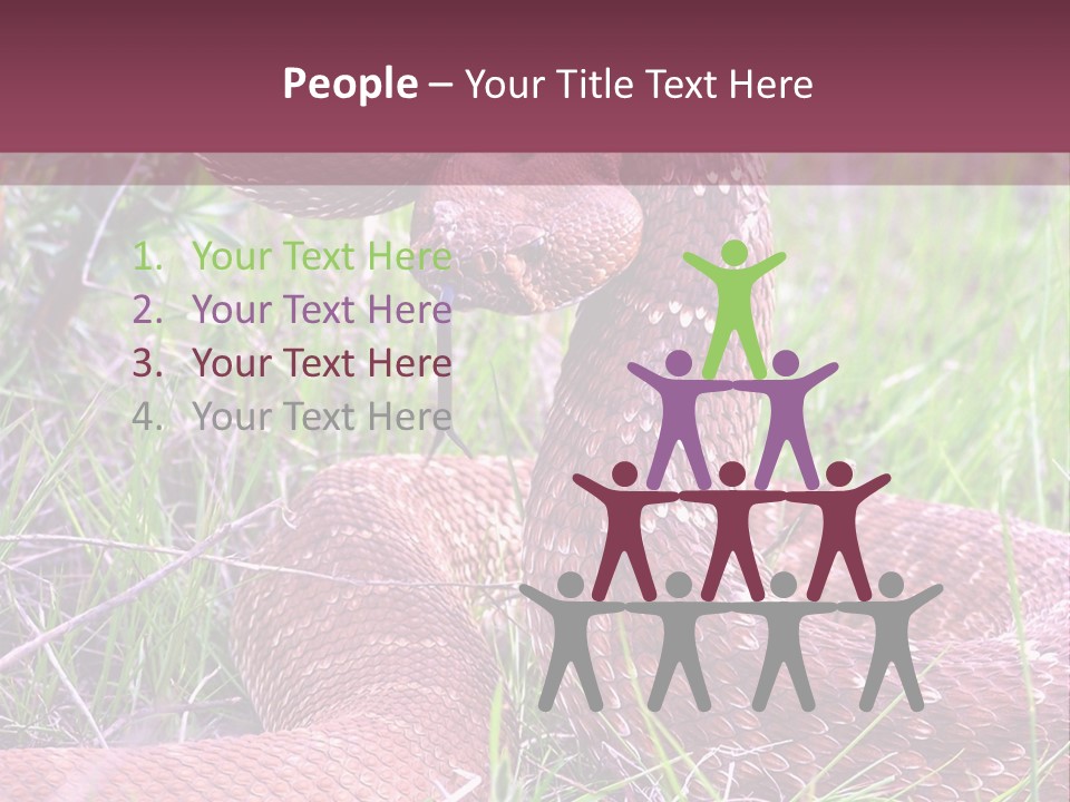 Rattlesnake Tongue Diamond PowerPoint Template