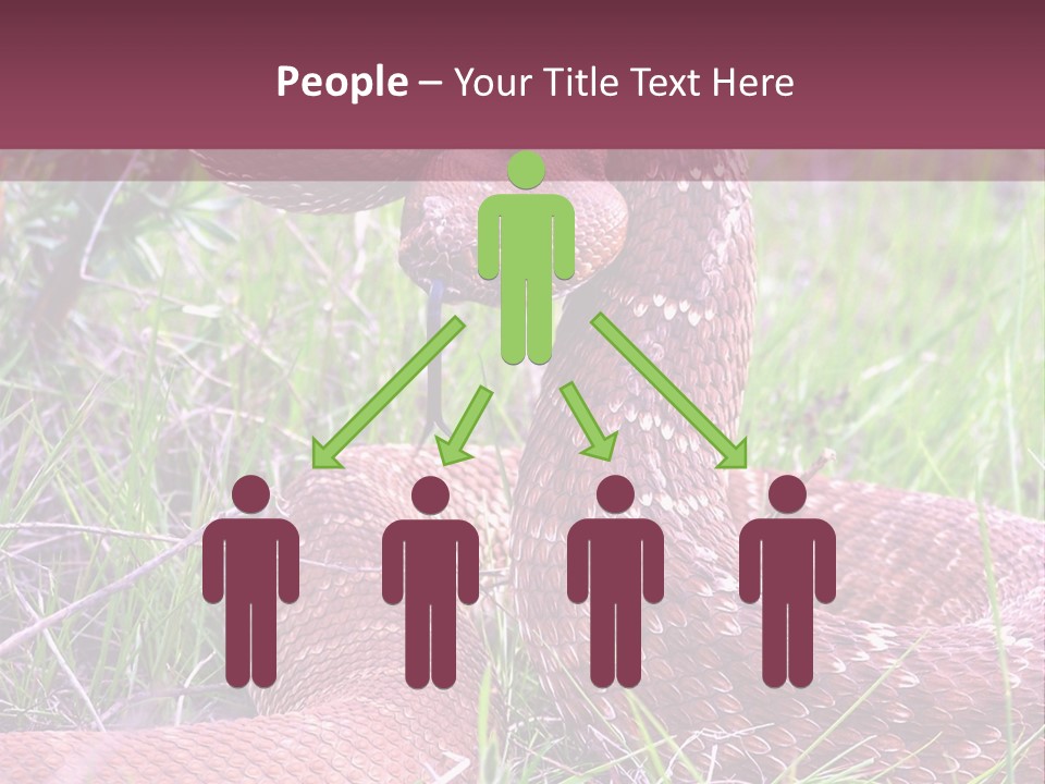 Rattlesnake Tongue Diamond PowerPoint Template