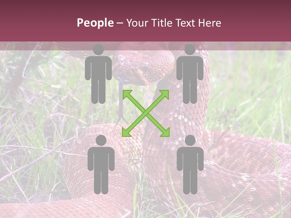 Rattlesnake Tongue Diamond PowerPoint Template