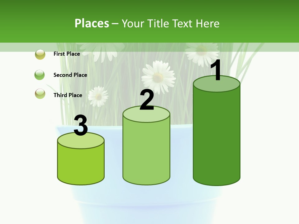 Garden Daisy Potted PowerPoint Template