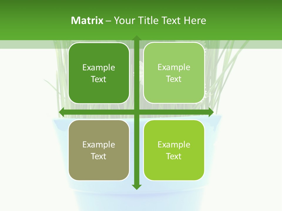 Garden Daisy Potted PowerPoint Template