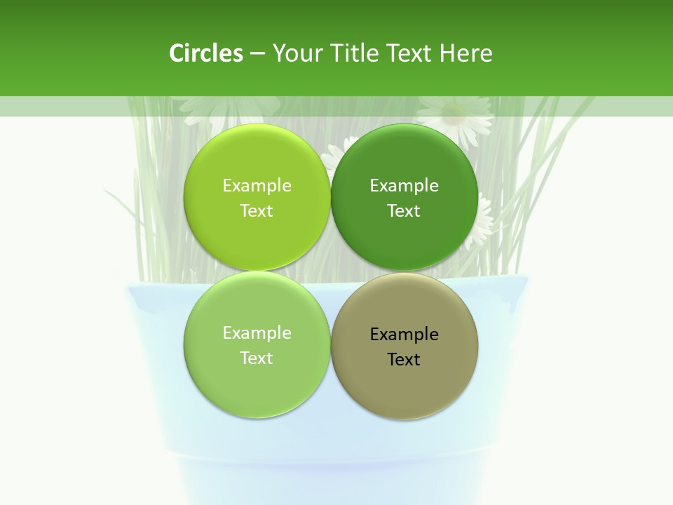 Garden Daisy Potted PowerPoint Template