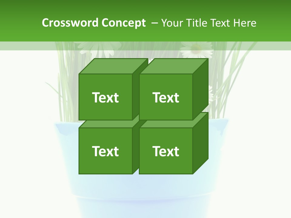 Garden Daisy Potted PowerPoint Template