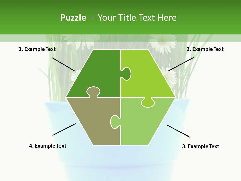 Garden Daisy Potted PowerPoint Template
