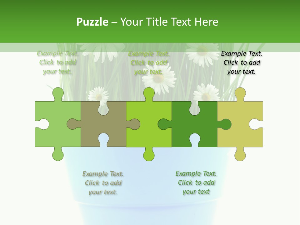 Garden Daisy Potted PowerPoint Template