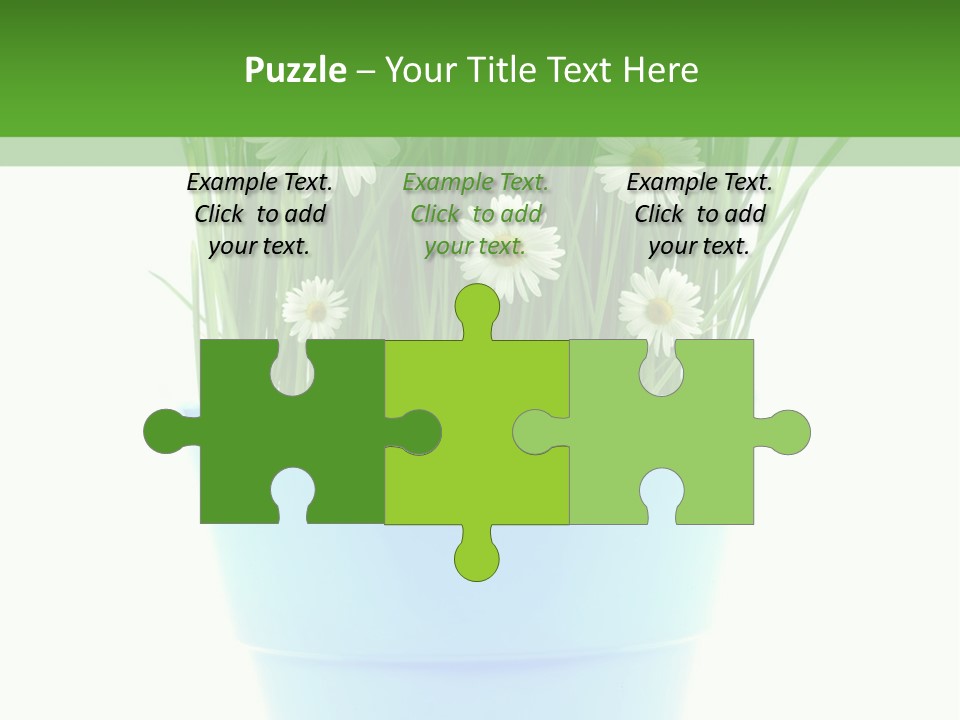 Garden Daisy Potted PowerPoint Template