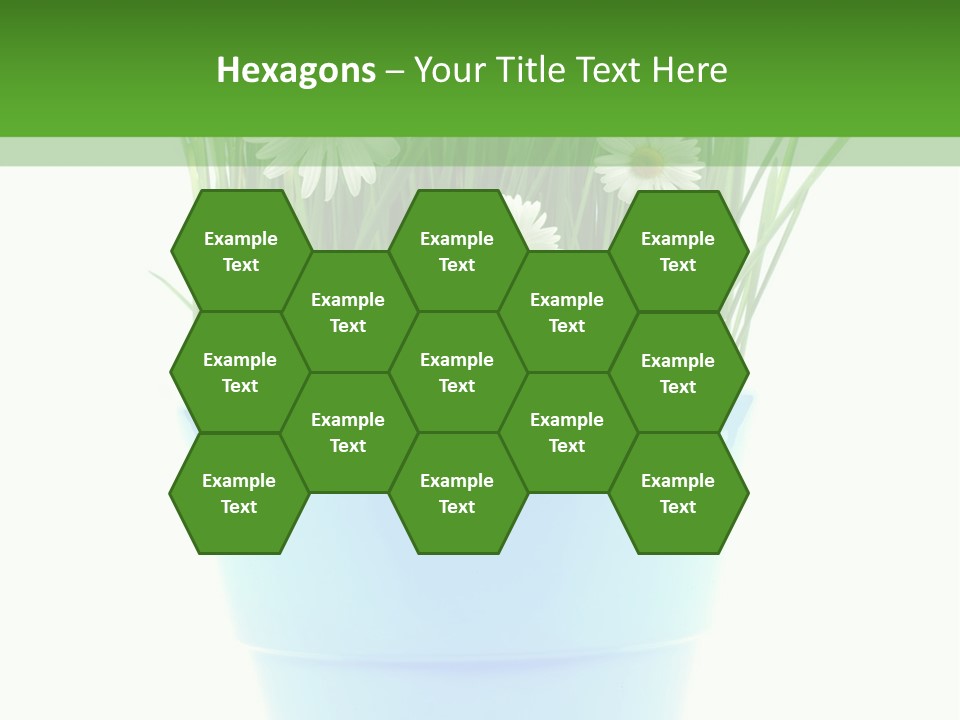 Garden Daisy Potted PowerPoint Template