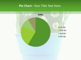 Garden Daisy Potted PowerPoint Template
