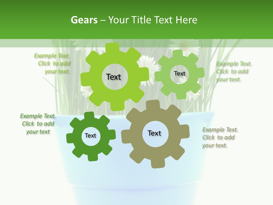 Garden Daisy Potted PowerPoint Template