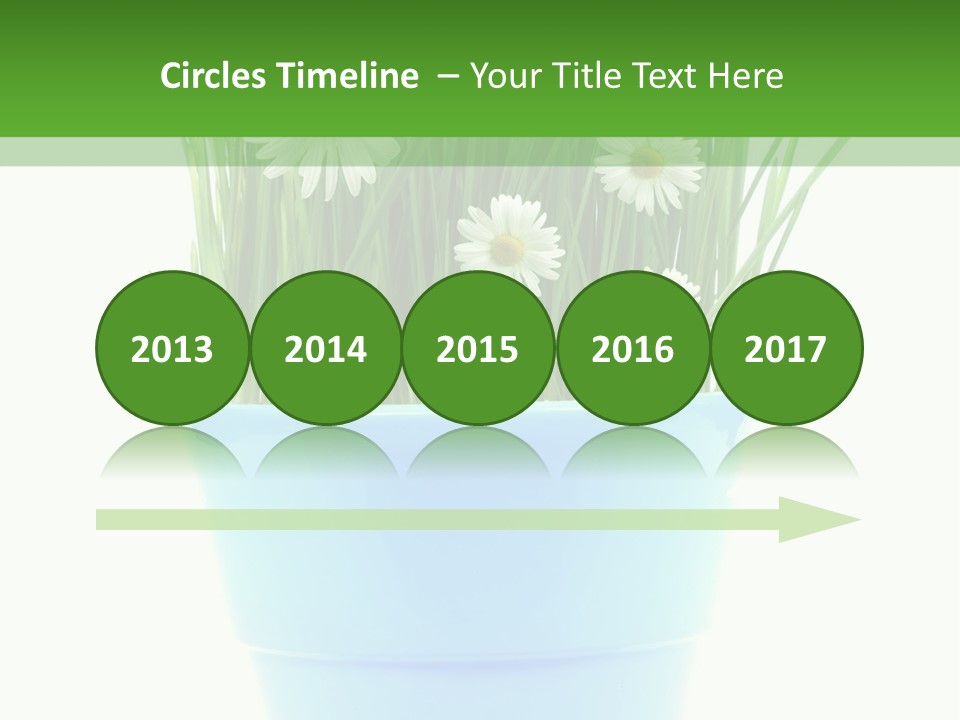 Garden Daisy Potted PowerPoint Template