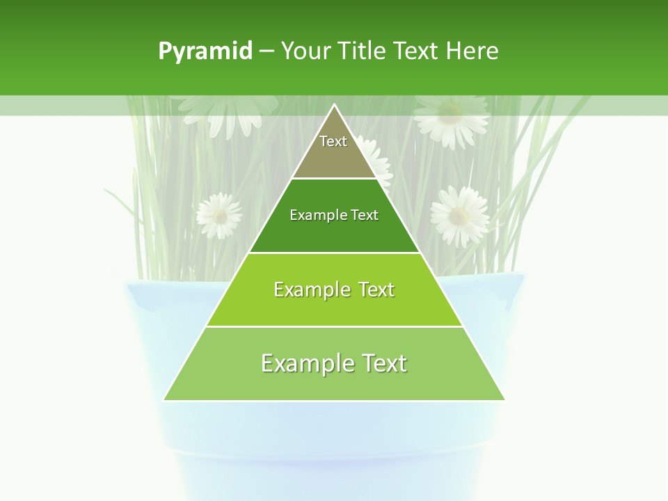 Garden Daisy Potted PowerPoint Template