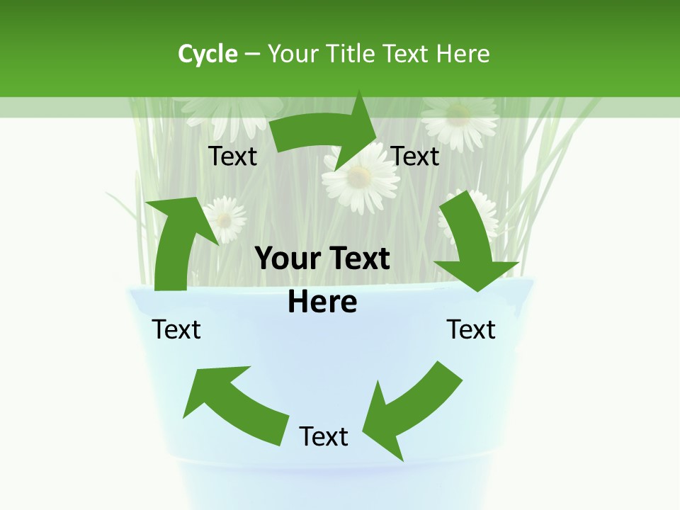 Garden Daisy Potted PowerPoint Template