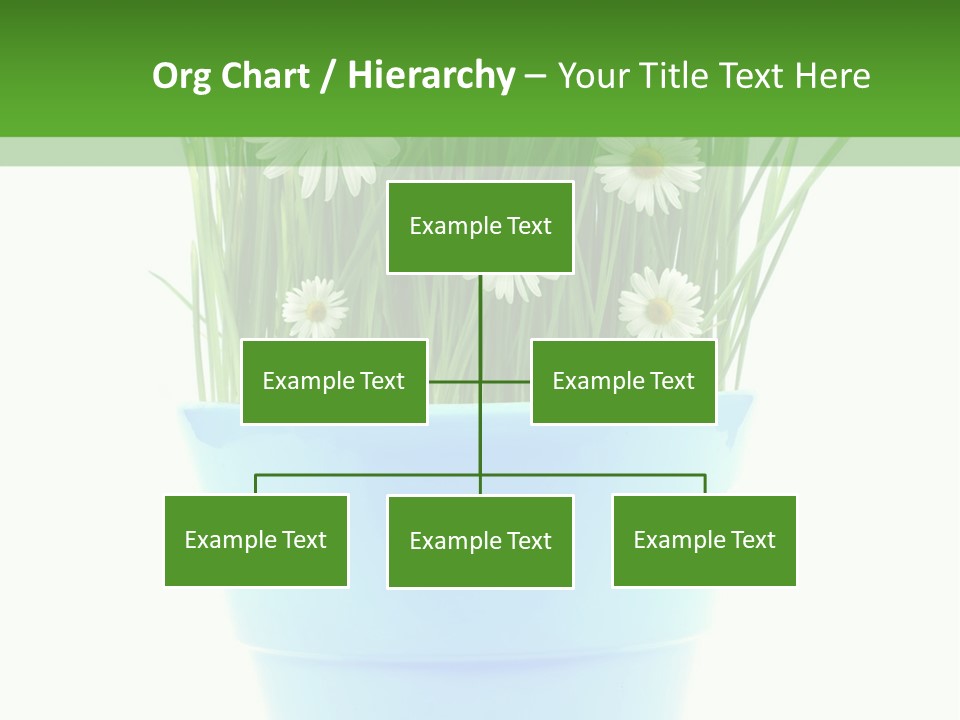 Garden Daisy Potted PowerPoint Template