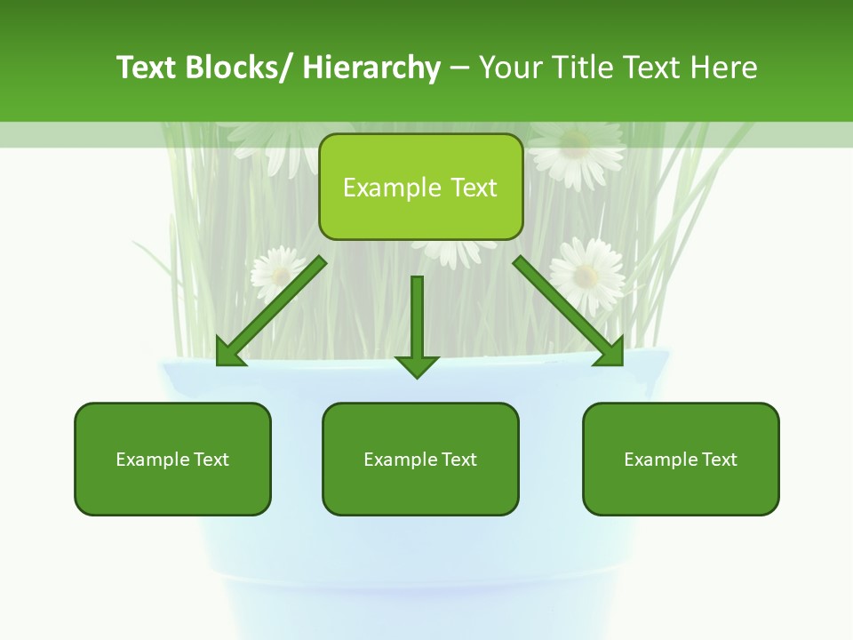 Garden Daisy Potted PowerPoint Template