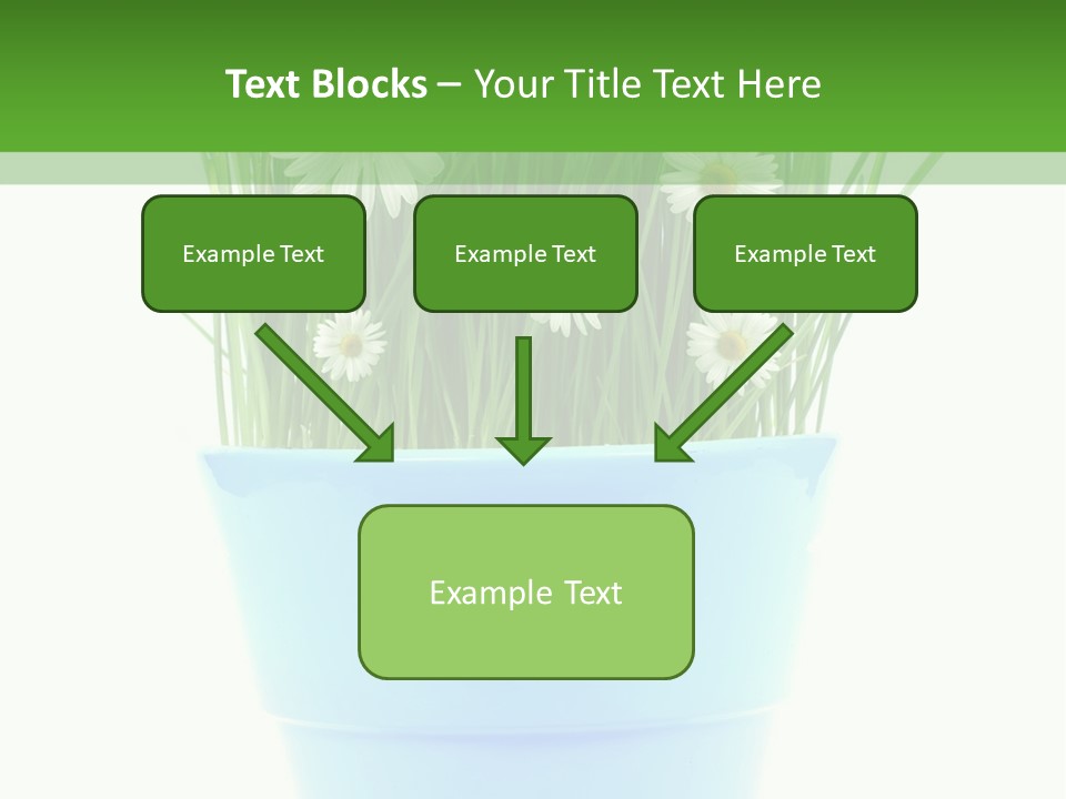 Garden Daisy Potted PowerPoint Template