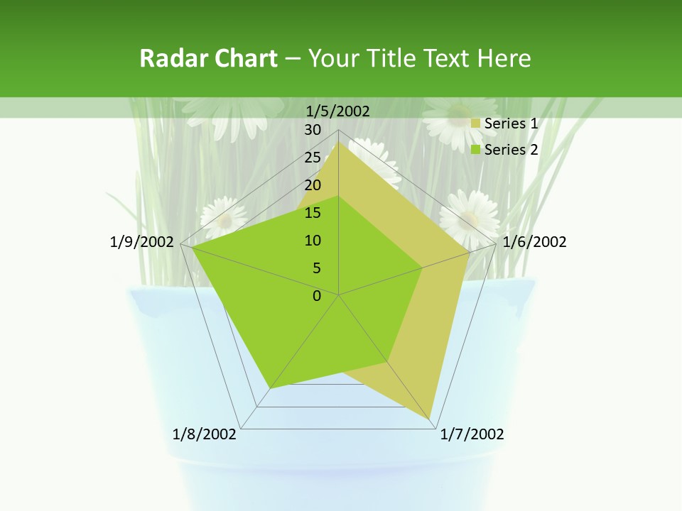Garden Daisy Potted PowerPoint Template