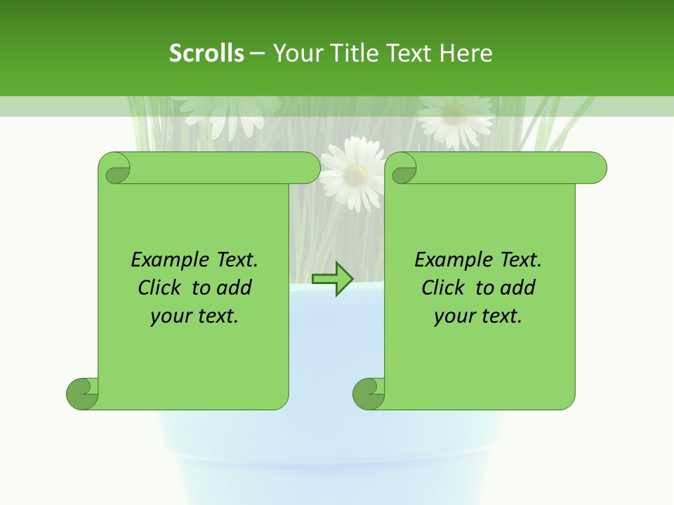 Garden Daisy Potted PowerPoint Template