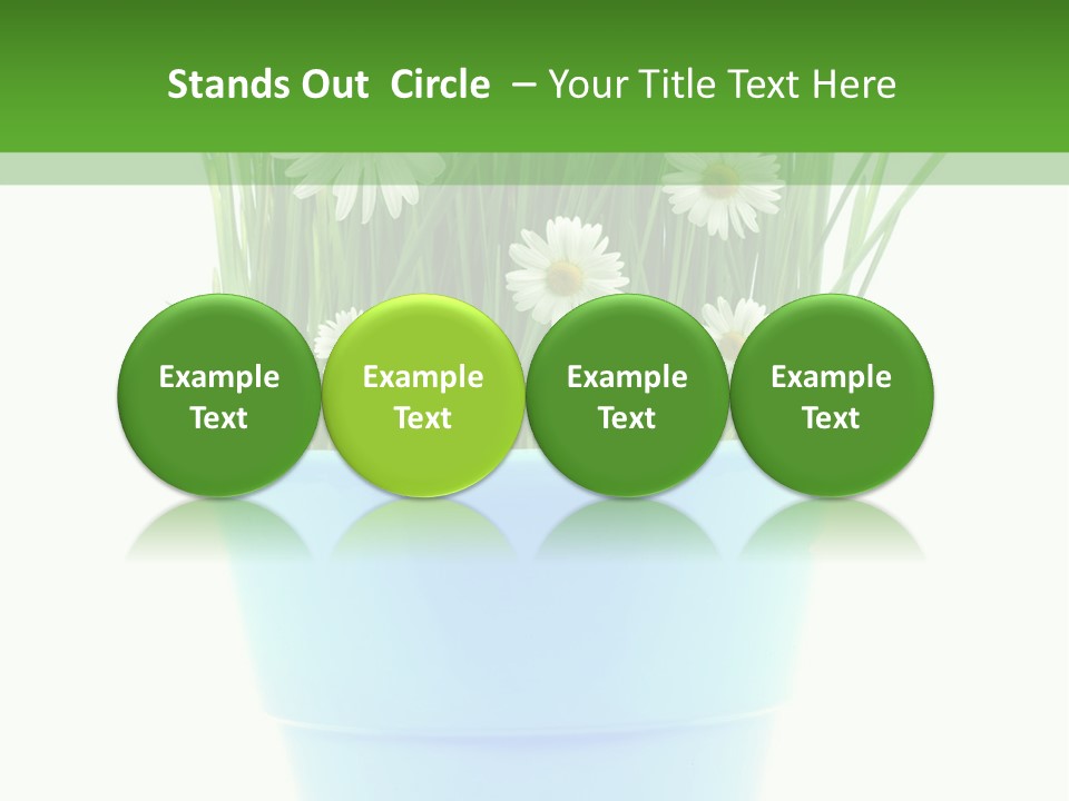 Garden Daisy Potted PowerPoint Template